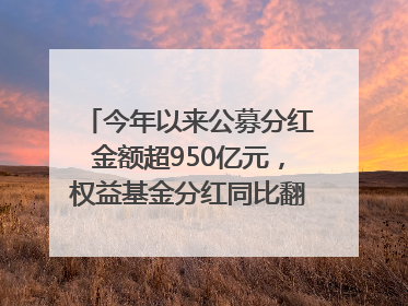 今年以来公募分红金额超950亿元，权益基金分红同比翻倍｜招财猫