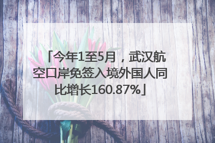 今年1至5月，武汉航空口岸免签入境外国人同比增长160.87%