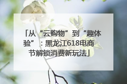 从“云购物”到“趣体验”：黑龙江618电商节解锁消费新玩法