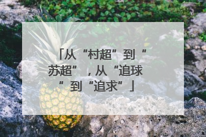 从“村超”到“苏超”，从“追球”到“追求”