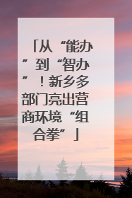 从“能办”到“智办”！新乡多部门亮出营商环境“组合拳”