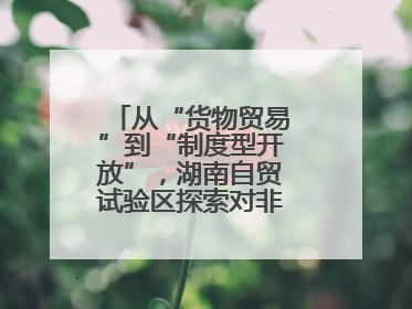 从“货物贸易”到“制度型开放”，湖南自贸试验区探索对非合作新模式
