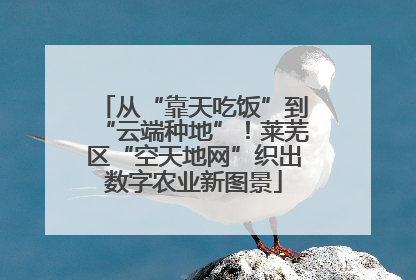 从“靠天吃饭”到“云端种地”！莱芜区“空天地网”织出数字农业新图景