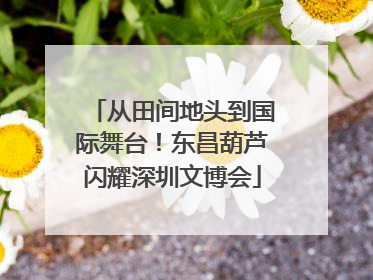 从田间地头到国际舞台！东昌葫芦闪耀深圳文博会