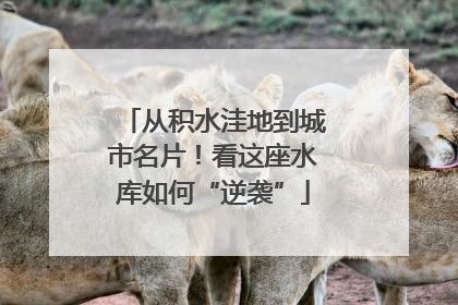 从积水洼地到城市名片！看这座水库如何“逆袭”