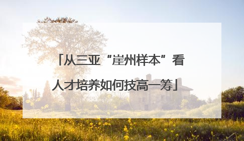 从三亚“崖州样本”看人才培养如何技高一筹