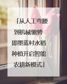 从人工弯腰到机械驰骋 即墨蓝村水稻种植开启智能农耕新模式