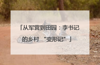 从军营到田园：李书记的乡村 “变形记”