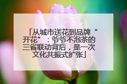 从城市送花到品牌“开花”：爷爷不泡茶的三省联动背后，是一次文化共振式扩张