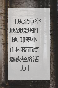 从杂草空地到烧烤胜地 即墨小庄村夜市点燃夜经济活力