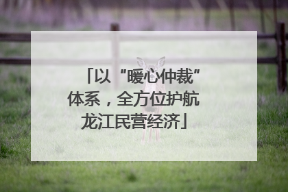 以“暖心仲裁”体系，全方位护航龙江民营经济