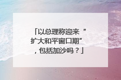 以总理称迎来“扩大和平窗口期”，包括加沙吗？
