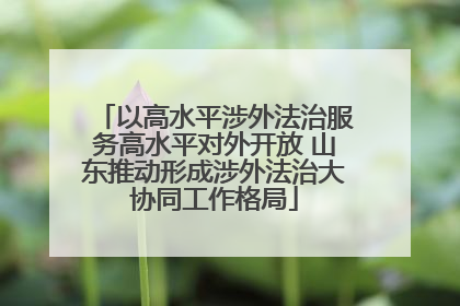 以高水平涉外法治服务高水平对外开放 山东推动形成涉外法治大协同工作格局