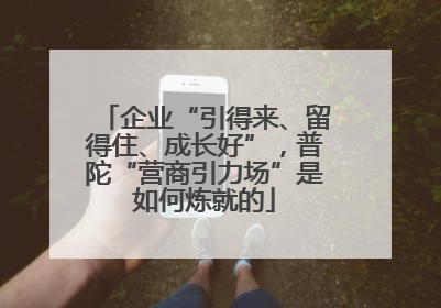 企业“引得来、留得住、成长好”，普陀“营商引力场”是如何炼就的