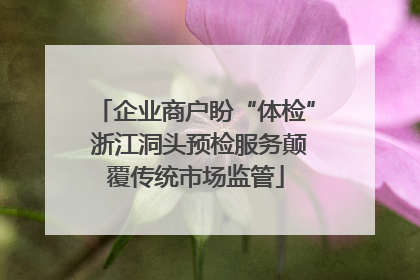 企业商户盼“体检” 浙江洞头预检服务颠覆传统市场监管