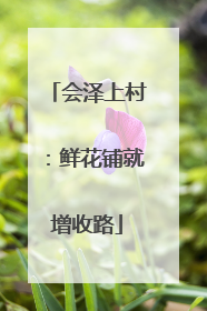 会泽上村：鲜花铺就增收路
