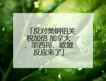 反对美钢铝关税加倍 加拿大、墨西哥、欧盟反应来了