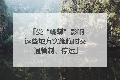受“蝴蝶”影响 这些地方实施临时交通管制、停运
