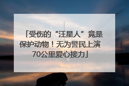 受伤的“汪星人”竟是保护动物！无为警民上演70公里爱心接力