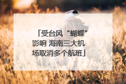 受台风“蝴蝶”影响 海南三大机场取消多个航班