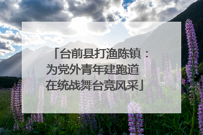 台前县打渔陈镇：为党外青年建跑道 在统战舞台竞风采
