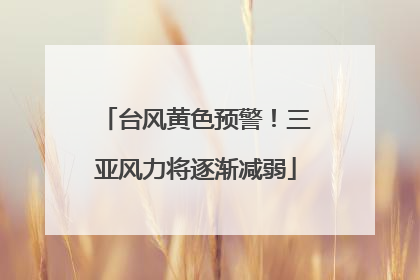 台风黄色预警！三亚风力将逐渐减弱