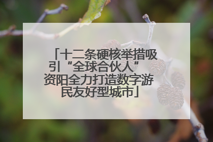 十二条硬核举措吸引“全球合伙人” 资阳全力打造数字游民友好型城市