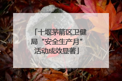 十堰茅箭区卫健局“安全生产月”活动成效显著