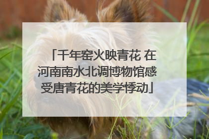 千年窑火映青花 在河南南水北调博物馆感受唐青花的美学悸动
