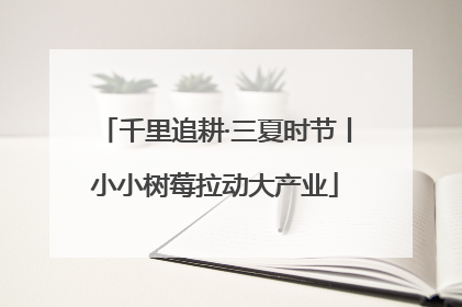 千里追耕·三夏时节丨小小树莓拉动大产业