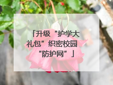 升级“护学大礼包”织密校园“防护网”
