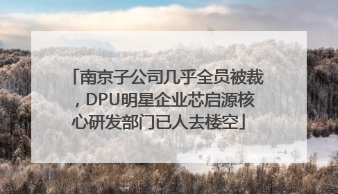 南京子公司几乎全员被裁，DPU明星企业芯启源核心研发部门已人去楼空
