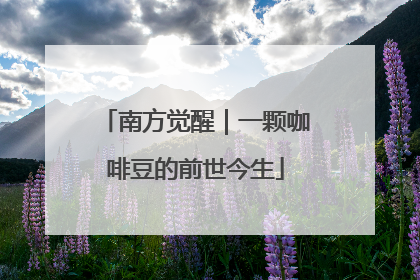 南方觉醒｜一颗咖啡豆的前世今生