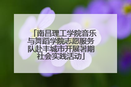 南昌理工学院音乐与舞蹈学院志愿服务队赴丰城市开展暑期社会实践活动