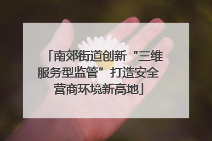 南郊街道创新“三维服务型监管”打造安全营商环境新高地