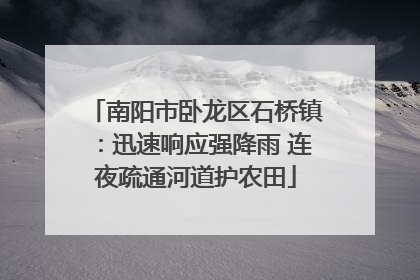 南阳市卧龙区石桥镇：迅速响应强降雨 连夜疏通河道护农田