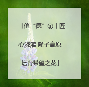 值“德”③丨匠心浇灌 隆子高原培育希望之花
