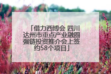 借力西博会 四川达州市重点产业融圈强链投资推介会上签约58个项目