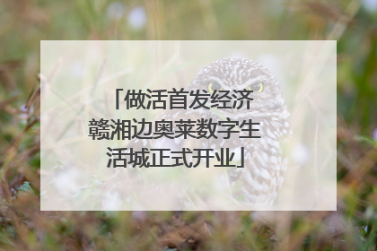 做活首发经济 赣湘边奥莱数字生活城正式开业