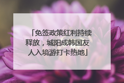 免签政策红利持续释放，城阳成韩国友人入境游打卡热地