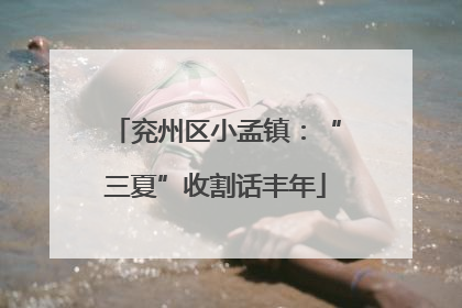 兖州区小孟镇：“三夏”收割话丰年