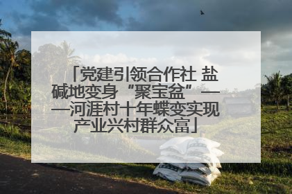 党建引领合作社 盐碱地变身“聚宝盆”——河涯村十年蝶变实现产业兴村群众富