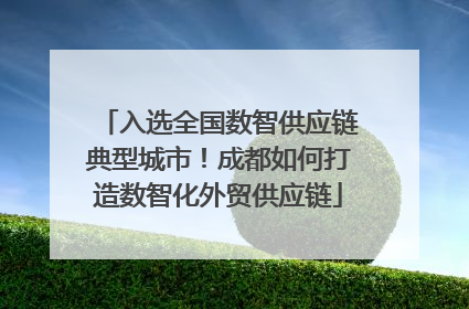 入选全国数智供应链典型城市！成都如何打造数智化外贸供应链