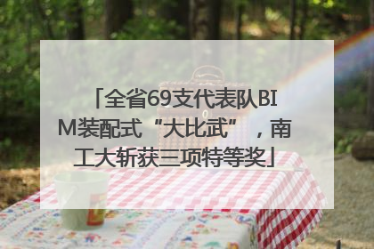 全省69支代表队BIM装配式“大比武”，南工大斩获三项特等奖