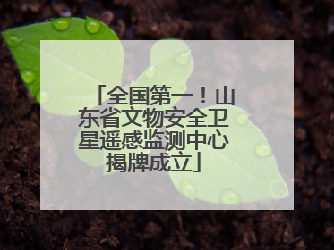 全国第一！山东省文物安全卫星遥感监测中心揭牌成立