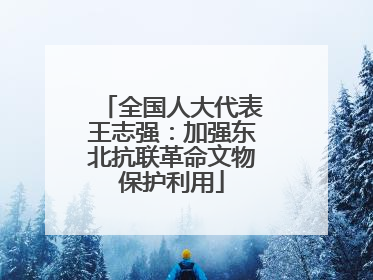 全国人大代表王志强：加强东北抗联革命文物保护利用