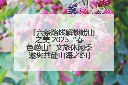 六条路线解锁崂山之美 2025“春色崂山”文旅休闲季邀您共赴山海之约