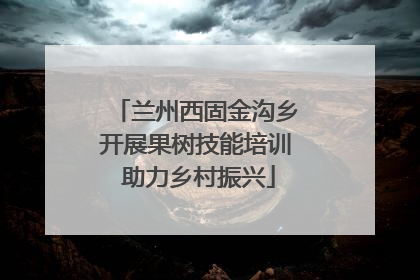 兰州西固金沟乡开展果树技能培训 助力乡村振兴