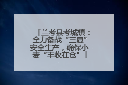 兰考县考城镇：全力备战“三夏”安全生产，确保小麦“丰收在仓”