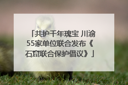 共护千年瑰宝 川渝55家单位联合发布《石窟联合保护倡议》